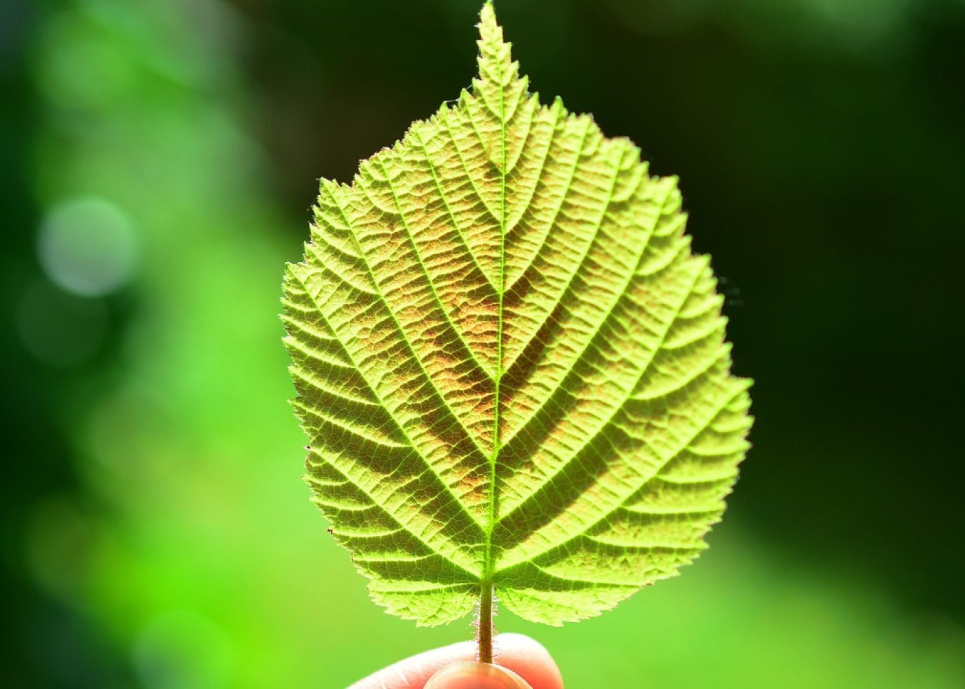 Limsolar Zonnepanelen Thuisbatterijen Omvormers Warmtepompen Aircos 5